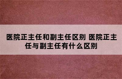 医院正主任和副主任区别 医院正主任与副主任有什么区别